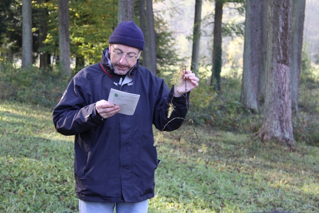 randonnée avec joëlettes, Torgny,  2011