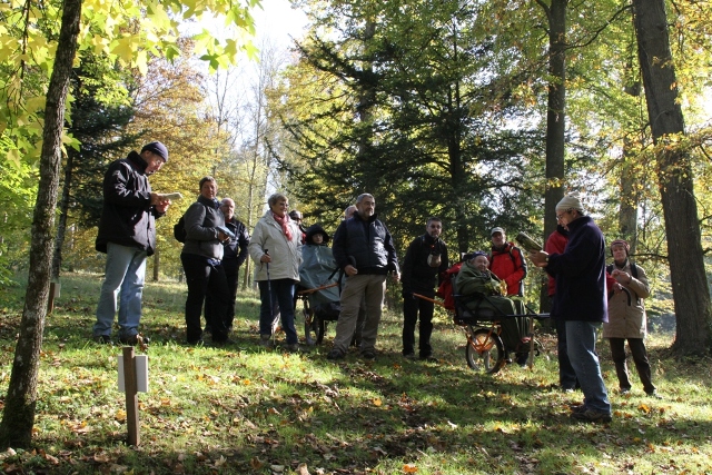 randonnée avec joëlettes, Torgny,  2011