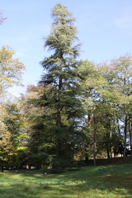 randonnée avec joëlettes, Torgny,  2011