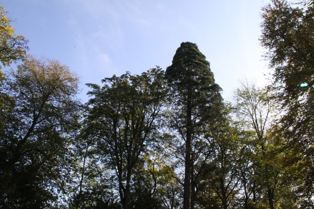 randonnée avec joëlettes, Torgny,  2011