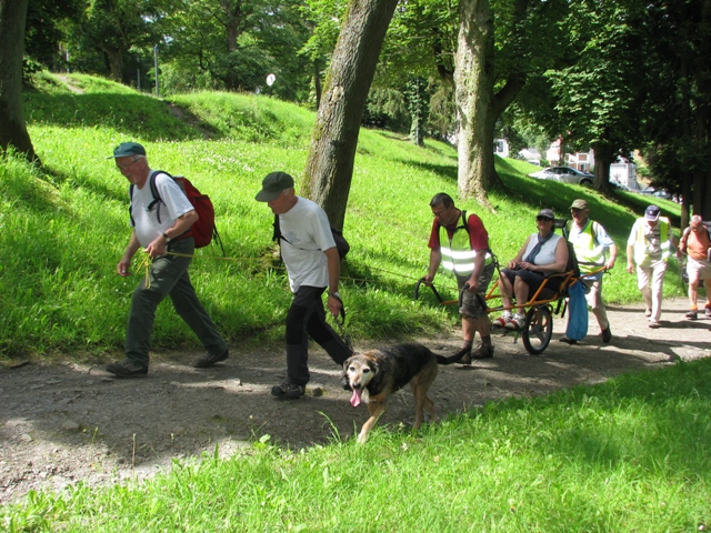 randonnée sportive avec joëlettes, Namur, 2012