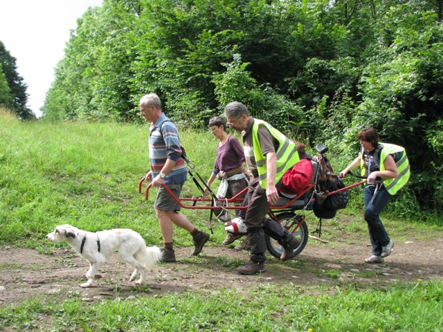 randonnée sportive avec joëlettes, Marneffe, 2012