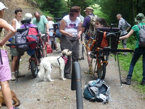 randonnée sportive avec joëlettes, Wolfach, 2012