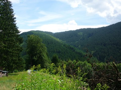 randonnée sportive avec joëlettes, Wolfach, 2012