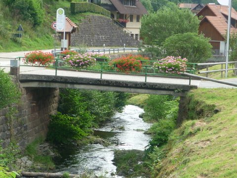 randonnée sportive avec joëlettes, Wolfach, 2012