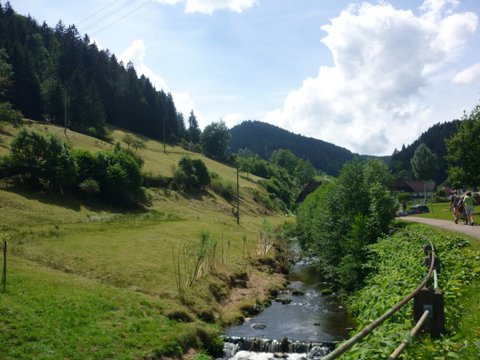 randonnée sportive avec joëlettes, Wolfach, 2012