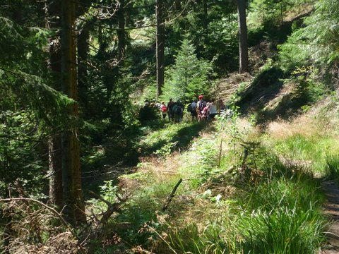 randonnée sportive avec joëlettes, Wolfach, 2012