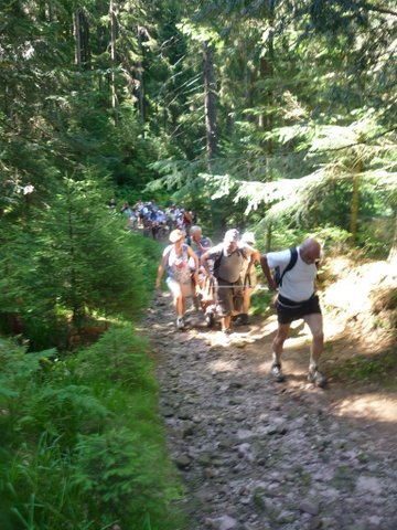 randonnée sportive avec joëlettes, Wolfach, 2012