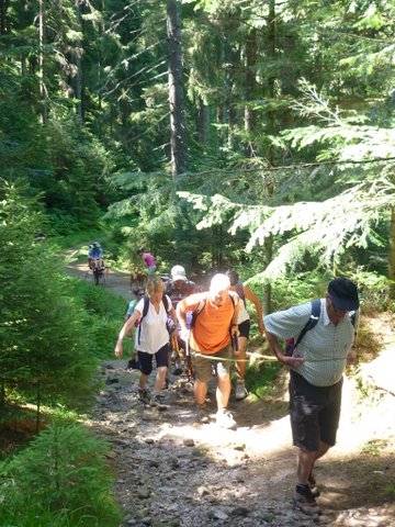 randonnée sportive avec joëlettes, Wolfach, 2012