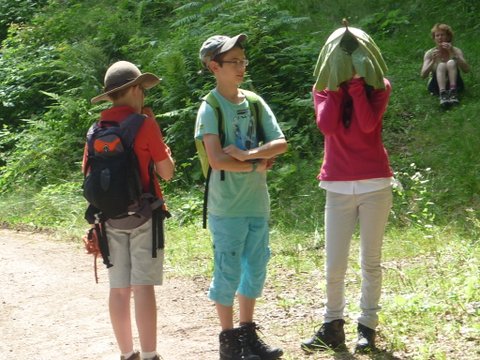 randonnée sportive avec joëlettes, Wolfach, 2012