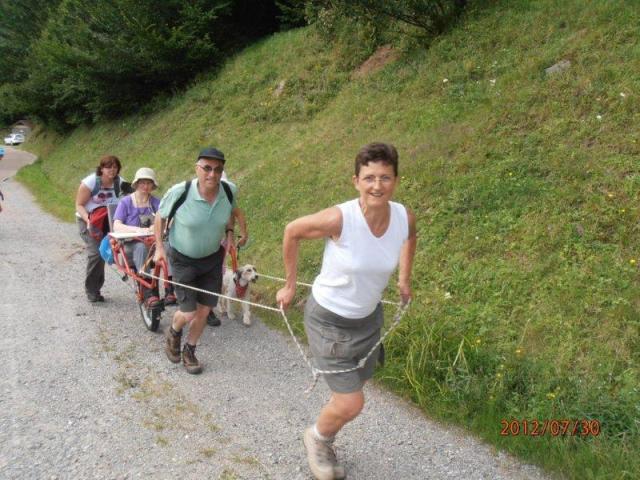 randonnée sportive avec joëlettes, Wolfach, 2012