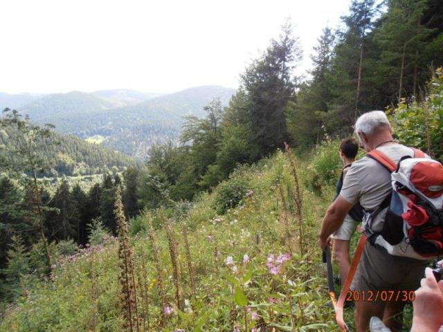 randonnée sportive avec joëlettes, Wolfach, 2012