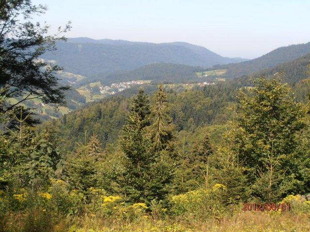 randonnée sportive avec joëlettes, Wolfach, 2012