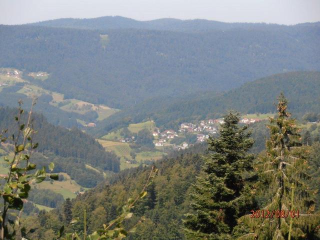 randonnée sportive avec joëlettes, Wolfach, 2012