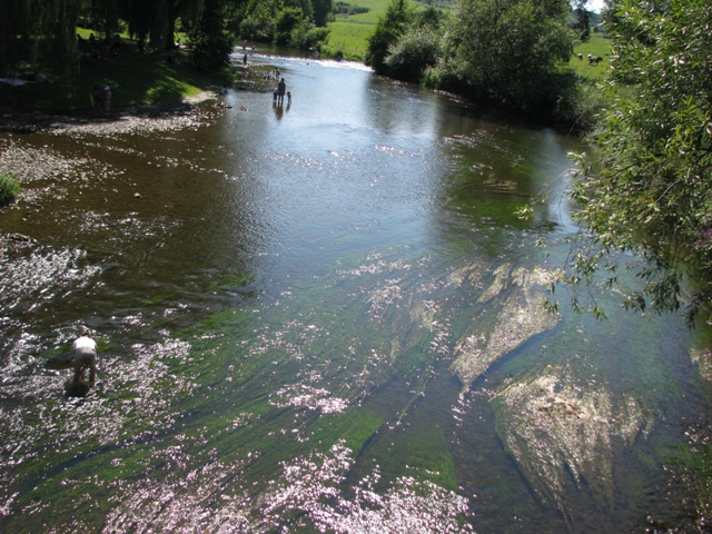 randonnée sportive avec joëlettes, Mariembourg, 2012