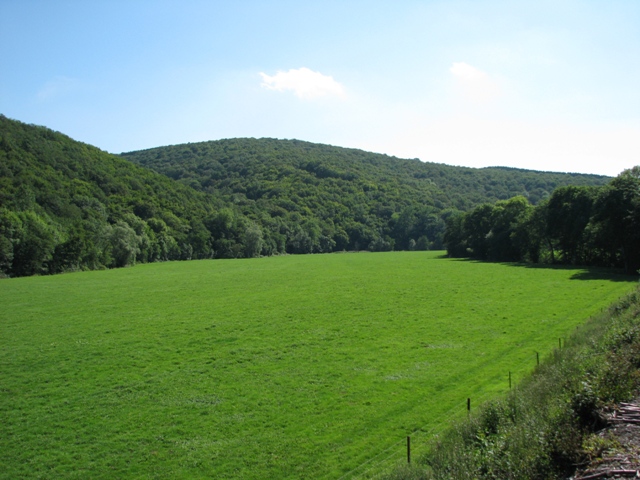 randonnée sportive avec joëlettes, Mariembourg, 2012