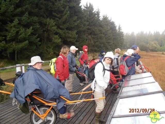 randonnée sportive avec joëlettes, Ovifat, 2012