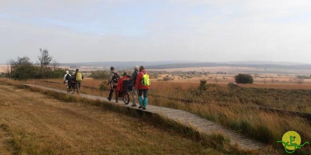 randonnée sportive avec joëlettes, Ovifat, 2012