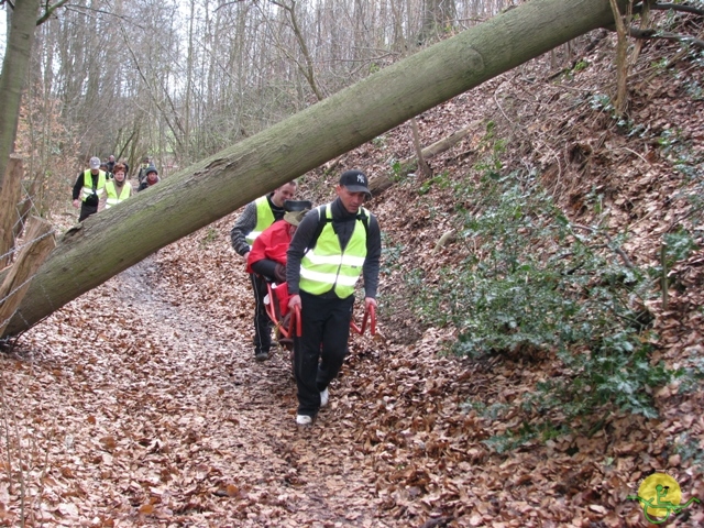 randonnée sportive avec joëlettes, Linkebeek, 2013