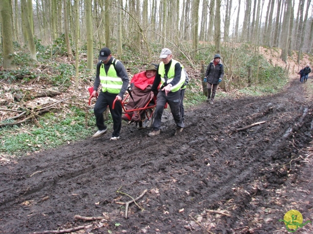 randonnée sportive avec joëlettes, Linkebeek, 2013