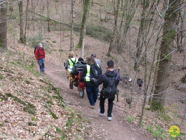 randonnée sportive avec joëlettes, Gesves, 2013