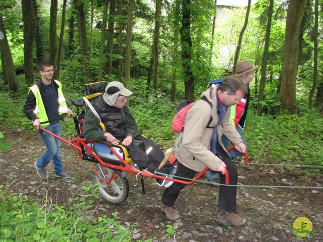 randonnée sportive avec joëlettes, Maredsous, 2013