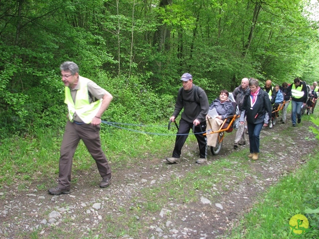 randonnée sportive avec joëlettes, Maredsous, 2013