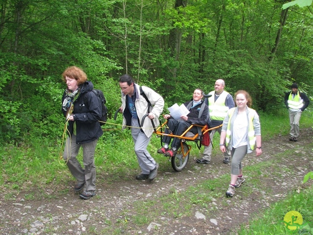 randonnée sportive avec joëlettes, Maredsous, 2013