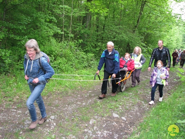 randonnée sportive avec joëlettes, Maredsous, 2013