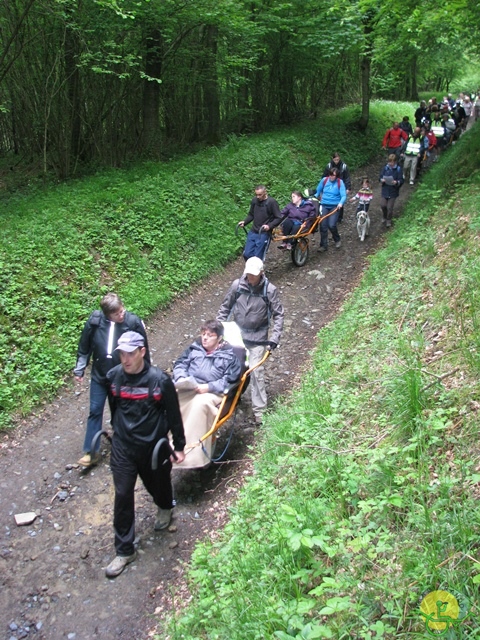 randonnée sportive avec joëlettes, Maredsous, 2013