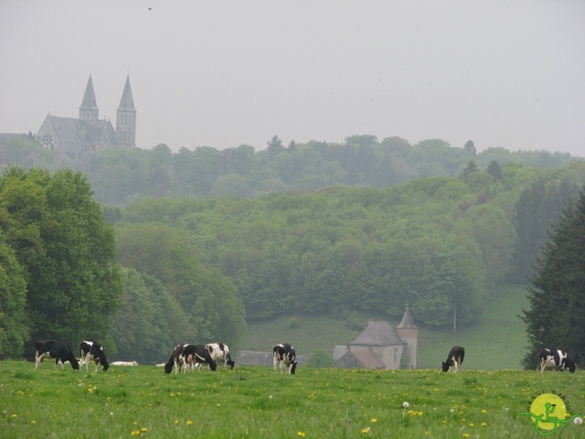 randonnée sportive avec joëlettes, Maredsous, 2013