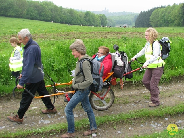 randonnée sportive avec joëlettes, Maredsous, 2013