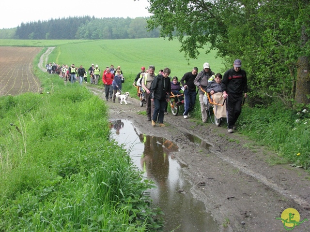 randonnée sportive avec joëlettes, Maredsous, 2013