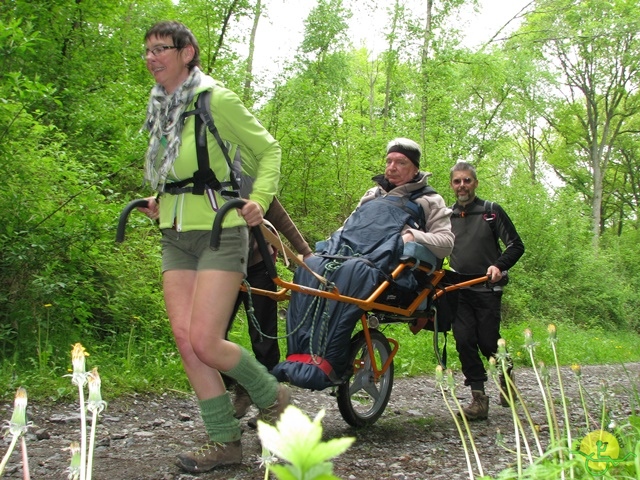 randonnée sportive avec joëlettes, Maredsous, 2013