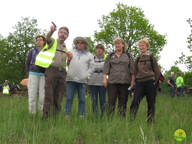 randonnée sportive avec joëlettes, Maredsous, 2013