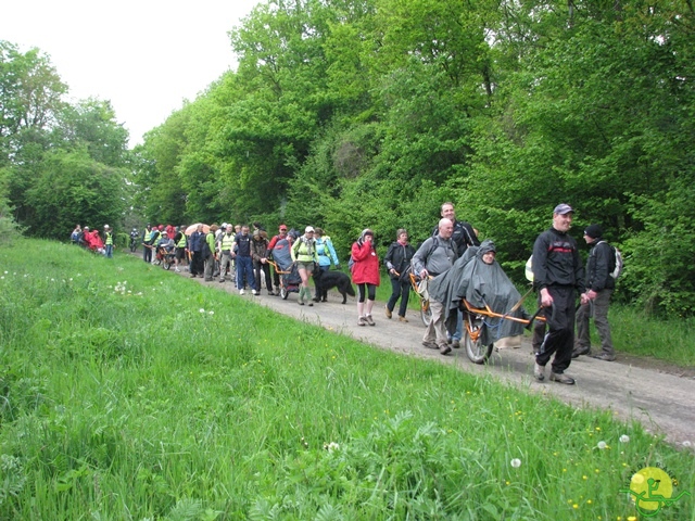 randonnée sportive avec joëlettes, Maredsous, 2013