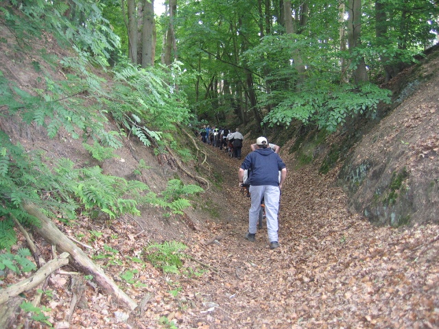 randonnée sportive avec joëlettes, Rixensart, 2013