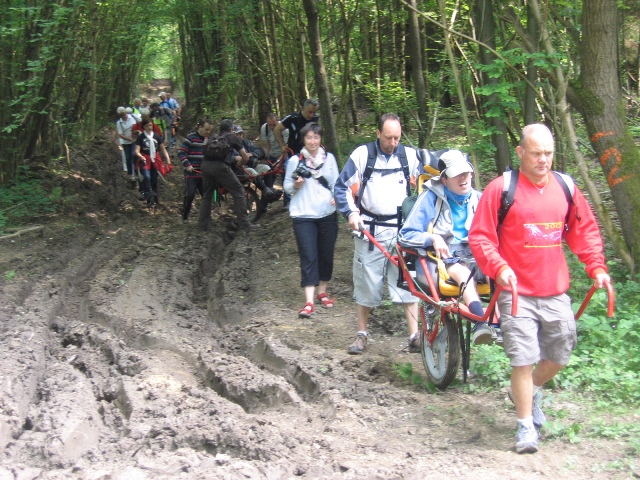 randonnée sportive avec joëlettes, Rixensart, 2013