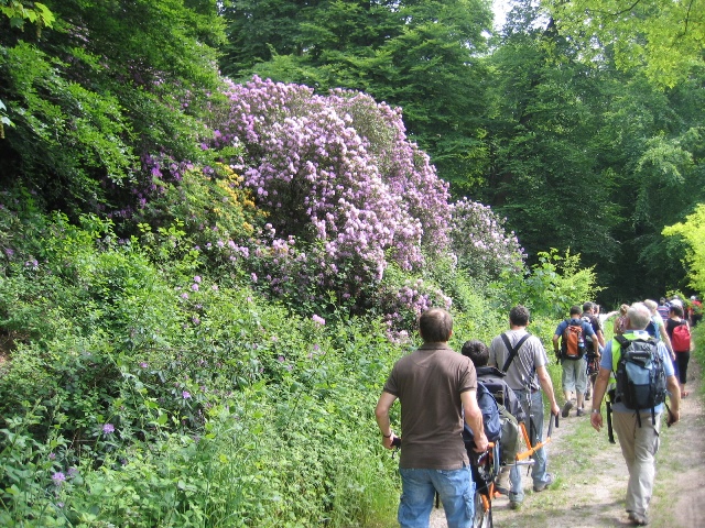 randonnée sportive avec joëlettes, Rixensart, 2013