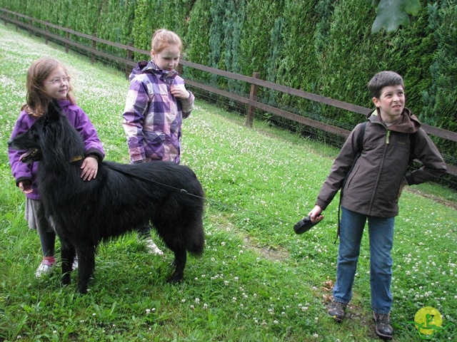 randonnée sportive avec joëlettes, Esneux, 2013