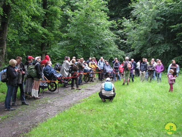 randonnée sportive avec joëlettes, Esneux, 2013