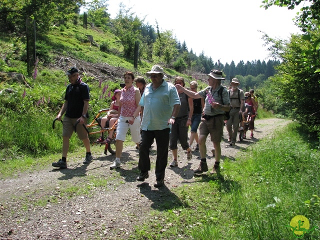 randonnée sportive avec joëlettes, Habay-la-Neuve, 2013