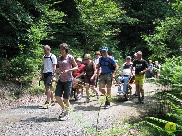 randonnée sportive avec joëlettes, Habay-la-Neuve, 2013