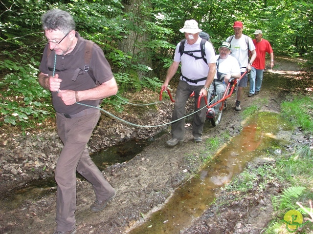 randonnée sportive avec joëlettes, Habay-la-Neuve, 2013