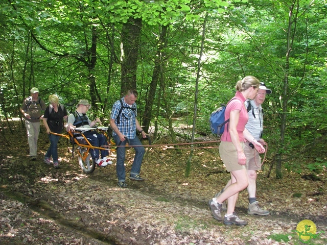 randonnée sportive avec joëlettes, Habay-la-Neuve, 2013