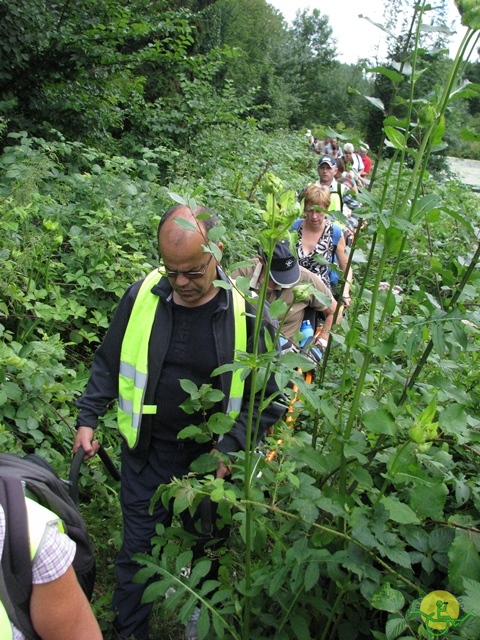 randonnée sportive avec joëlettes, Ronquières, 2013