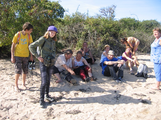 randonnée sportive avec joëlettes, Cabourg, 2013