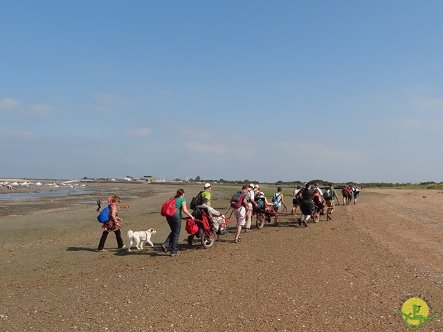 randonnée sportive avec joëlettes, Cabourg, 2013