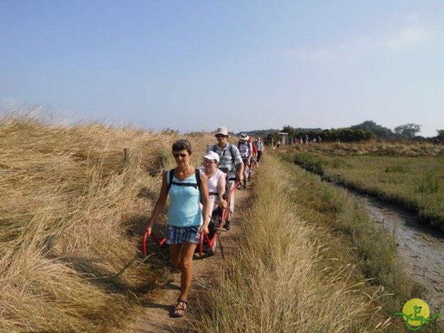 randonnée avec joëlettes,Cabourg, 2013