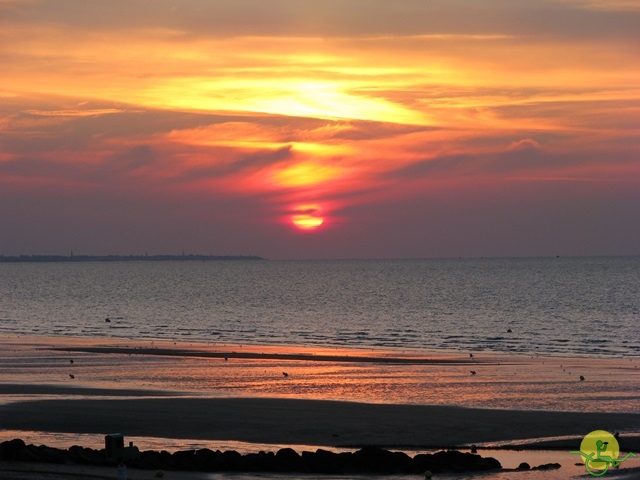 randonnée avec joëlettes,Cabourg, 2013